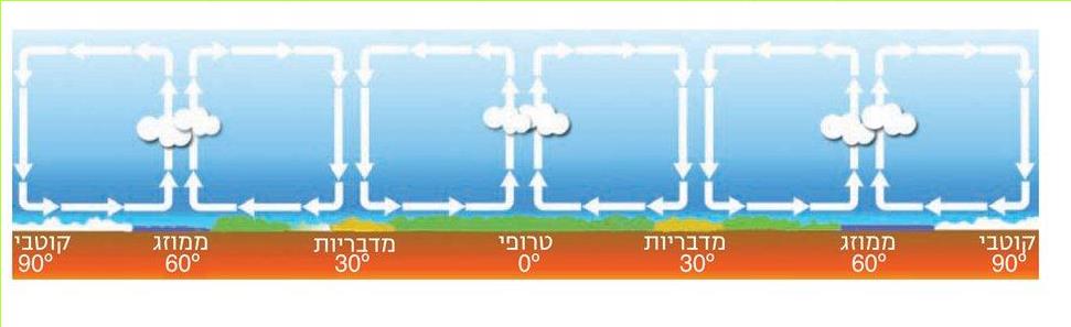 (בספר איור)